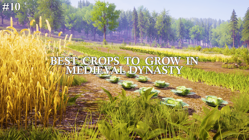 Best Crops To Plant in Medieval Dynasty Survival Game Guide