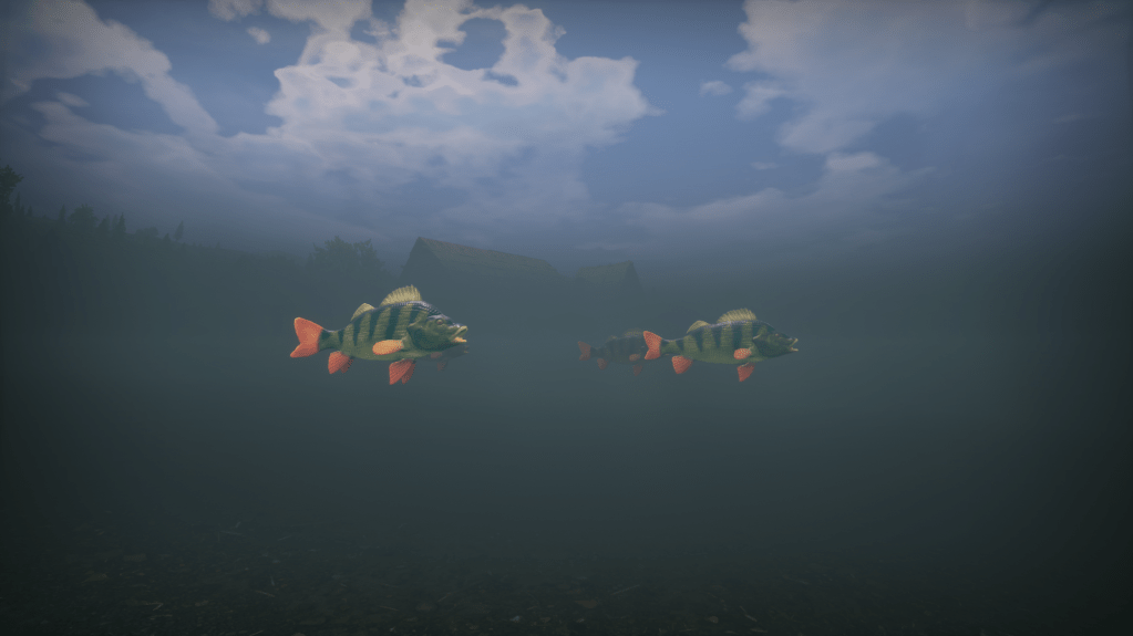 A small school of fish swimming in a river.