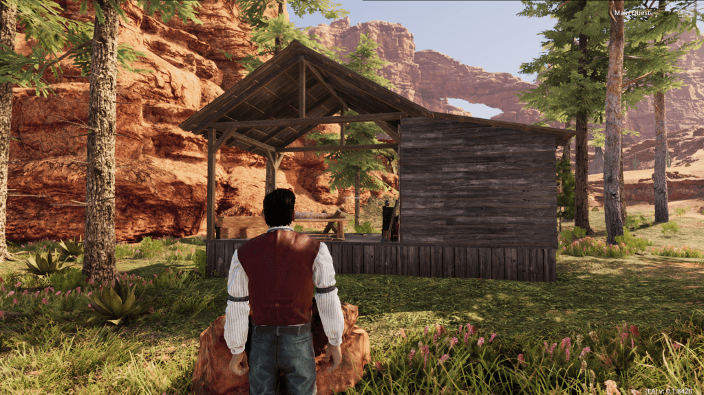 The finished sawmill standing in the forest.