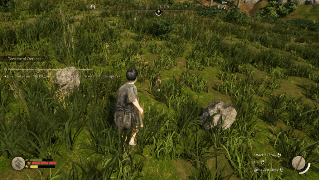 Hunting down a rabbit.