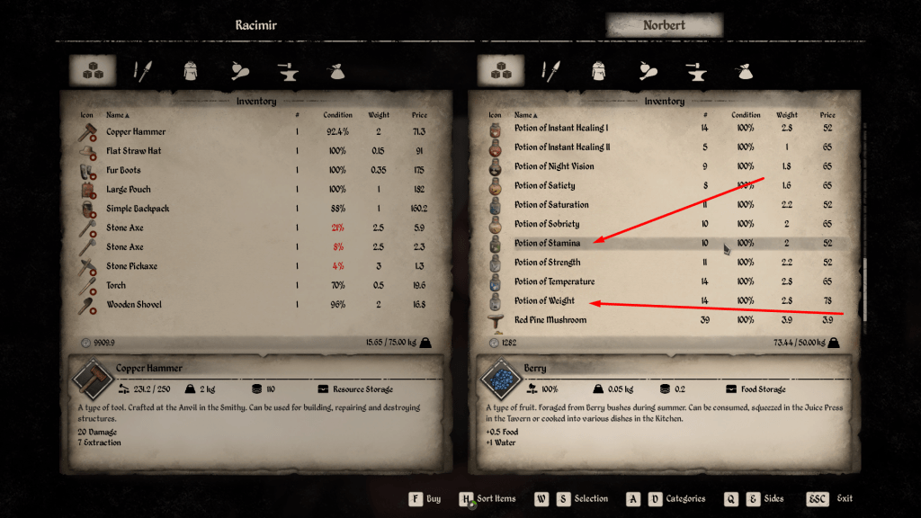 Buying potions of stamina and weight.