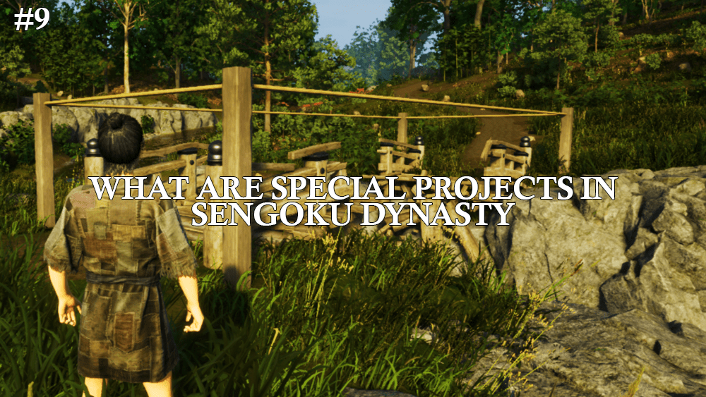What Are Special Projects in Sengoku&nbsp;Dynasty