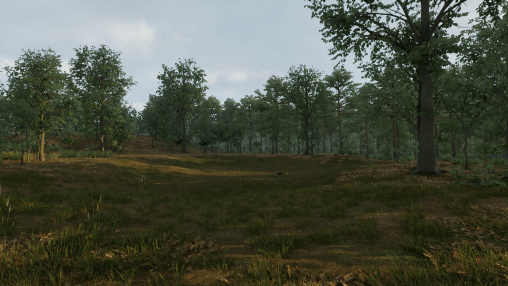 A small valley with a surrounding forest in sengoku dynasty